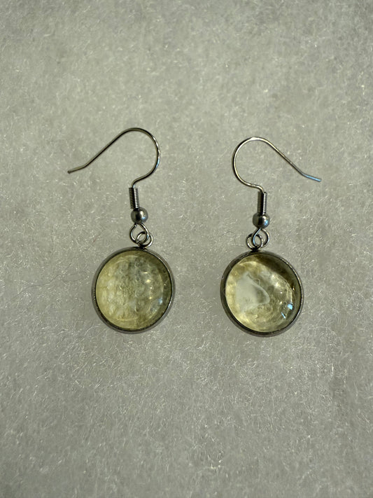 Fish skin earrings on hooks - 6